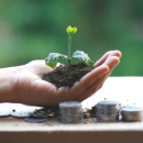 A hand holding a plant in dirt